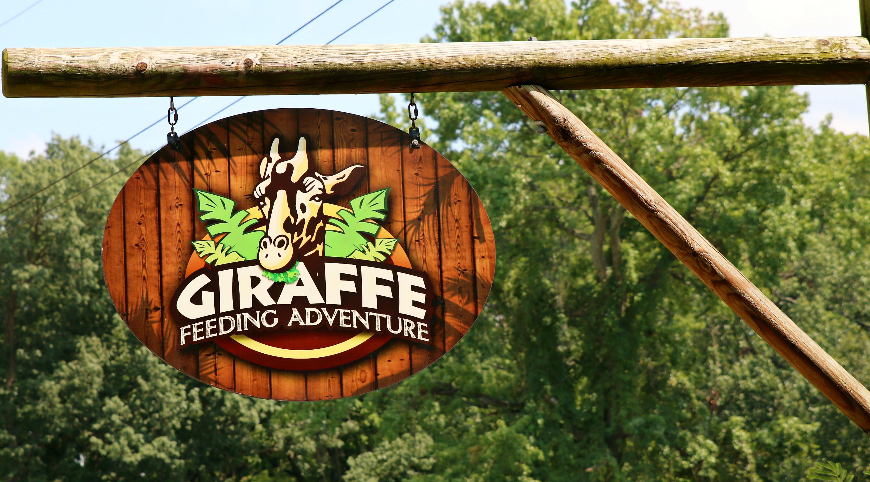 Giraffe sign