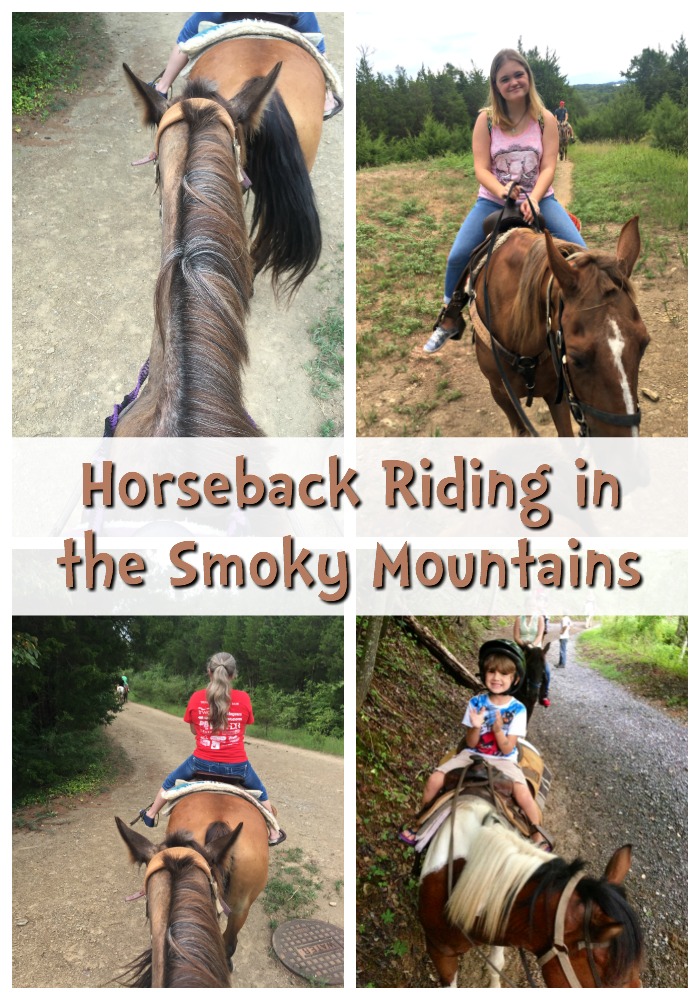 Horseback Riding in the Smoky Mountains