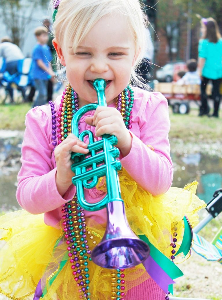 what are the official colors of mardi gras