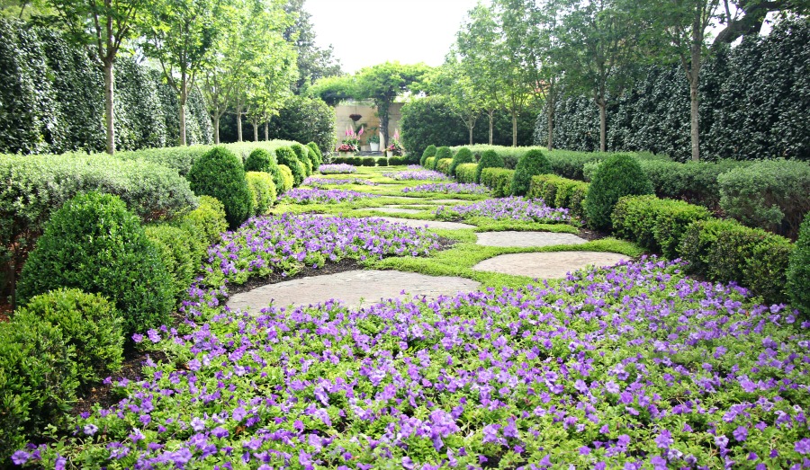 Dallas Arboretum purple flowers