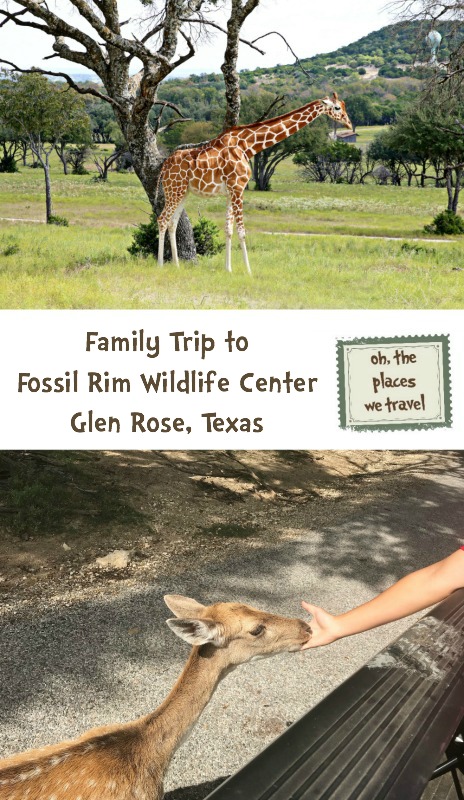 Family Trip to Fossil Rim Wildlife Center