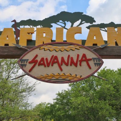 New African Savanna Exhibit Open at the Fort Worth Zoo