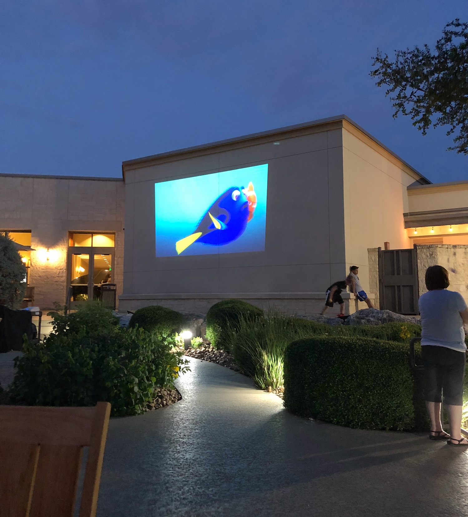 watch Disney movie outside at hotel pool