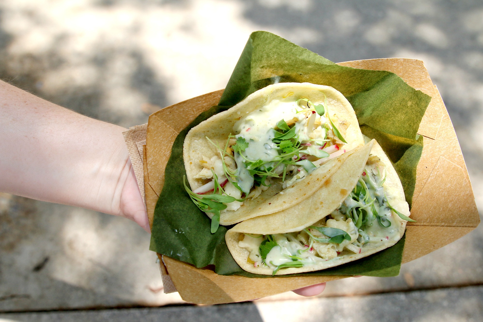chicken-tacos-from-SeaWorld-food-festival