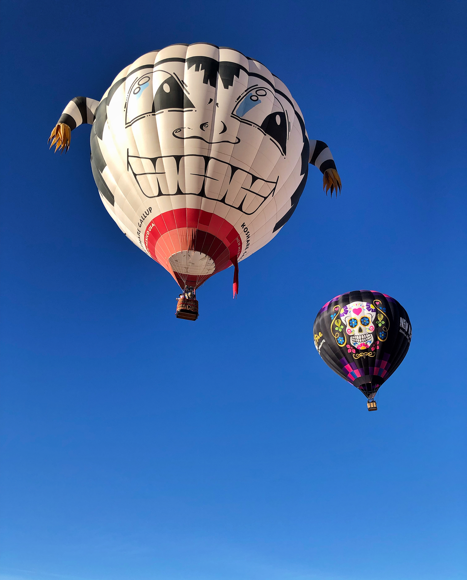 hot air balloon ride in gallup, New Mexico